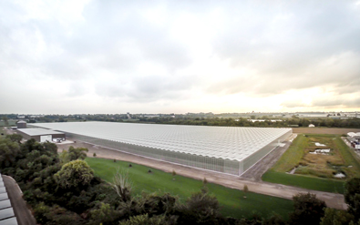 greenhouse