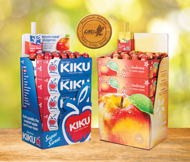 Ambrosia-and-KIKU-5-box-shipper