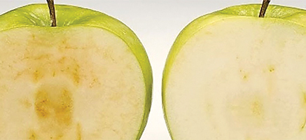 arctic-apple2