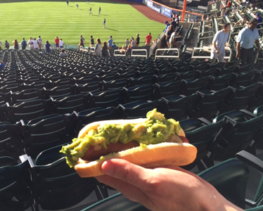 avodog