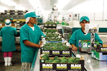 pac-packaging