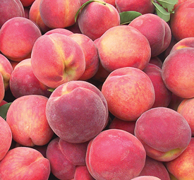 peaches