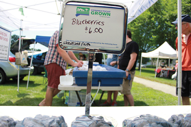 blueberries