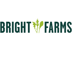 bright-1