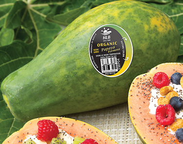 papaya