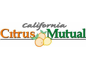 citmu