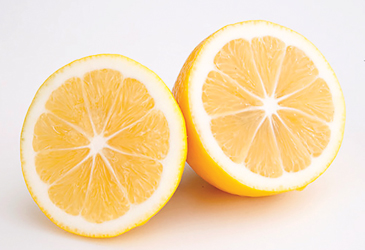 Meyer-Lemon-359