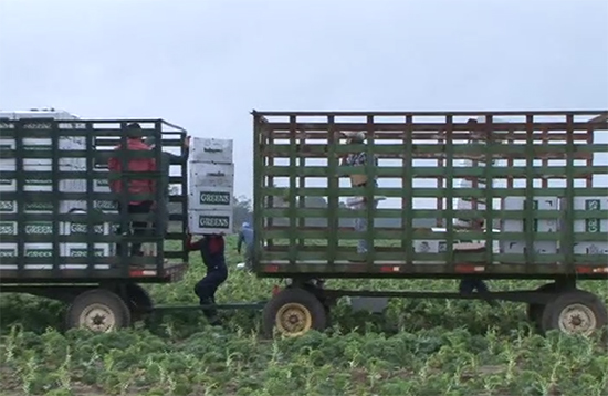 baker-farms
