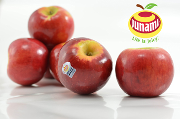 Junami withLogosm