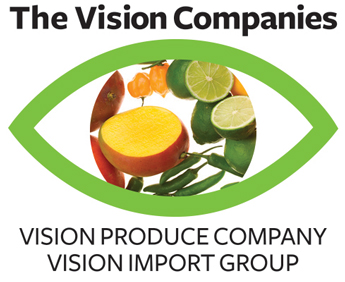 Vision combined logo