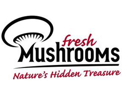 freshmush