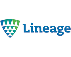 linea