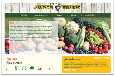 Hapco-home-page