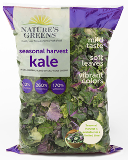 Seasonal-harvest-new-purple