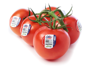 NFF-OhioRed Tomatoes-W