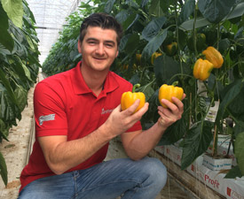 NFF-Matt Quring-Yellow-BellPepper-Logo-1-31Mar2016