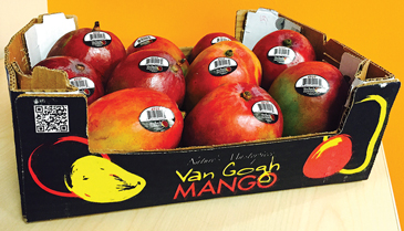 vanmang