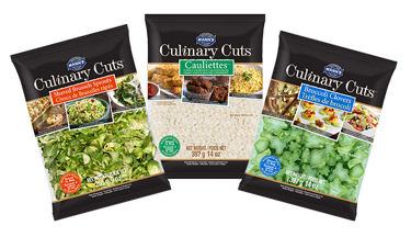 CC-Bags-Group