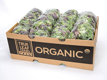 Church-Brothers-Farms-Organic-Line