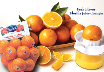 Florida-Juice-Oranges