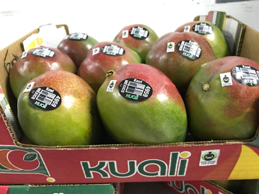 Fair-Trade---Kuali