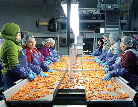 Carrots-2