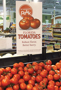 Publix-1