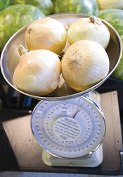 The-Onion-House