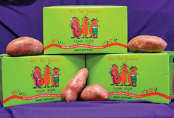 WBY-10lb-box-pic