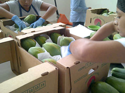 photo2