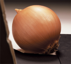 onion