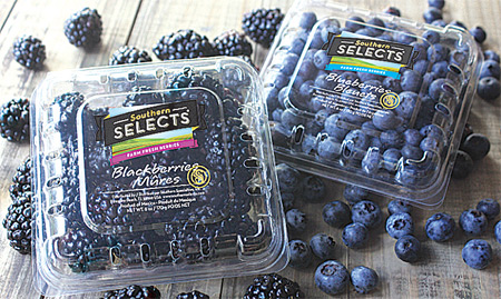 Berries
