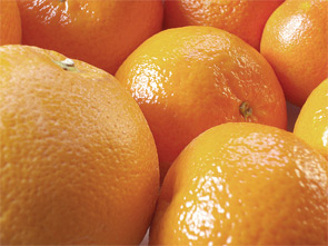 FL-Fall-Citrus