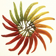 Gilmore-produce-1
