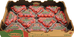 12-x-1Pint-Roma-Grape