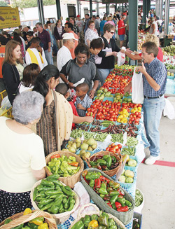 CityMarketOverview