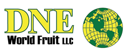 DNE-logo
