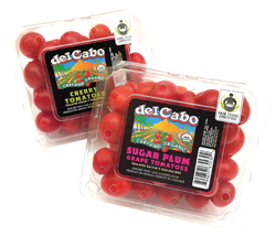 Del-Cabo-Fair-Trade-Certifi