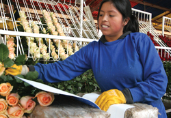 FAIR-TRADE1013-WORKER-FEMAL