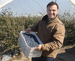 FamilyTreeFarms