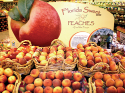 Florida-Peach-1