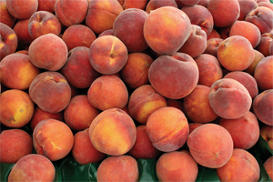 GA-Peaches-1