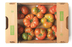 Heirloom Box