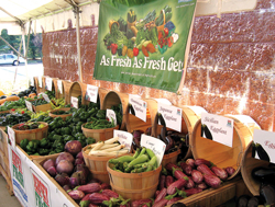 JF-Produce-display-at-BJs