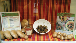 New-Product-Showcase