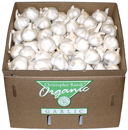 ORGANIC-GARLIC-FRESH-2
