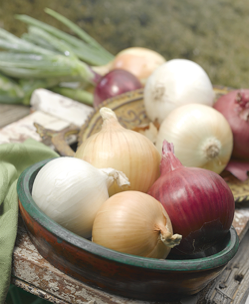 Onion3