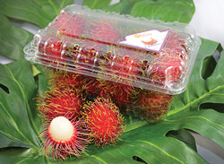 RAMBUTAN-IMAGE
