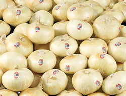 Shumanshuman