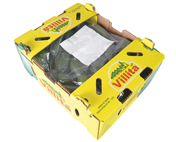 SliceNerveBox